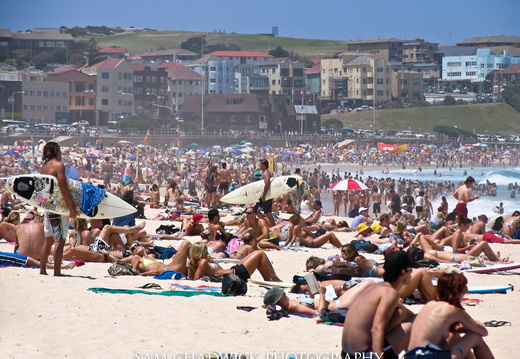 Bondi Beach