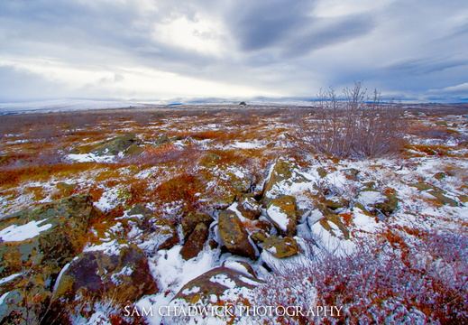 Alaska Landscape