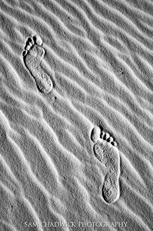 20080218-_MG_1484.jpg