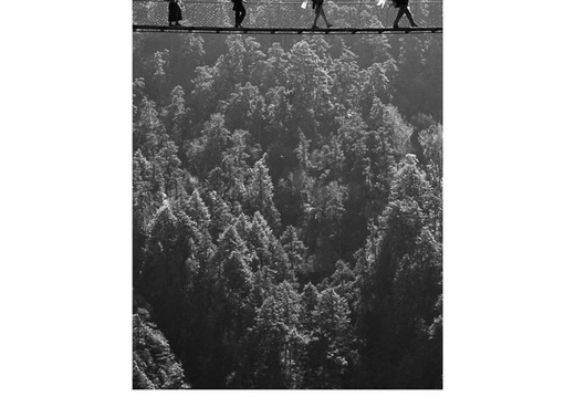 20081124- MG 4316 2-poster
