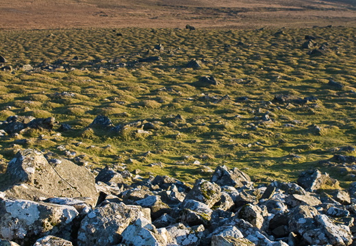 20081227- MG 5360