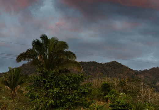 20090208- MG 6003