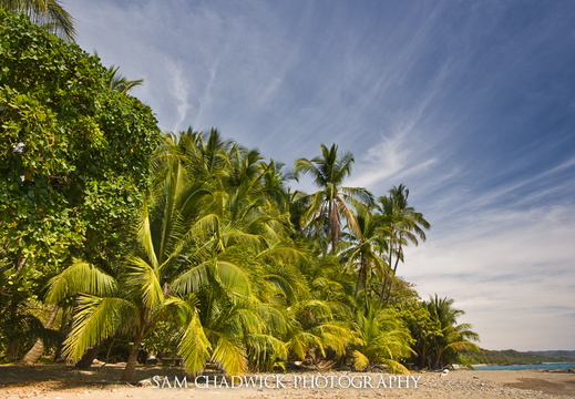 20090209- MG 6058