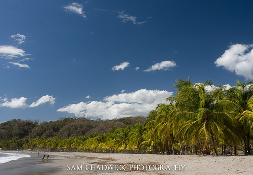 20090210- MG 6519