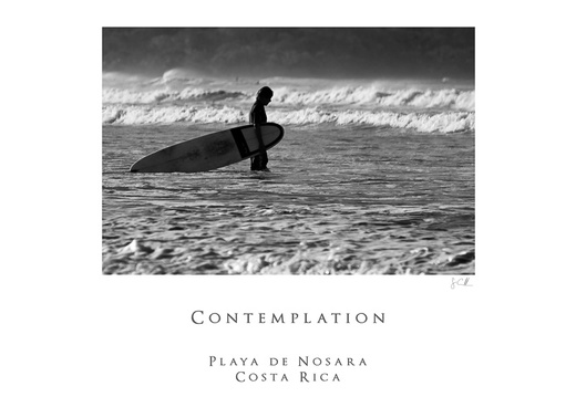 20090212- MG 6730-poster