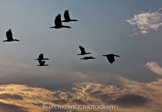 20090824- MG 4657