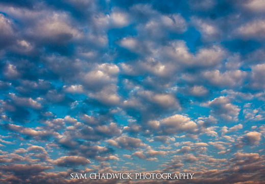 20090825- MG 8878