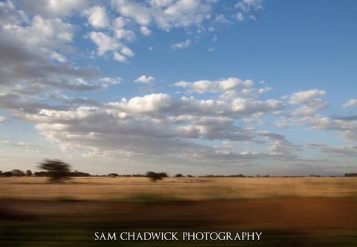 20090829- MG 9176