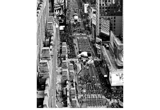 20091126- MG 2745-poster