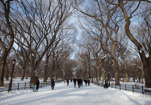 20091220- MG 3222