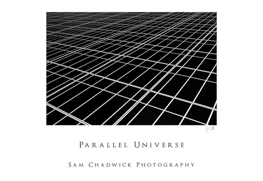 20100123- MG 3738-poster