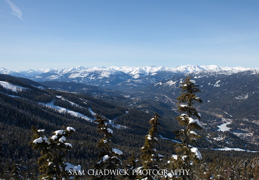 Whistler