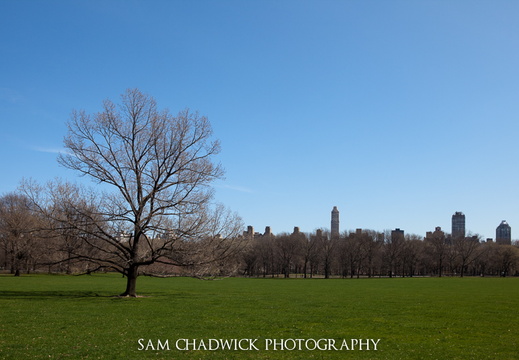 20100327- MG 4663-Edit