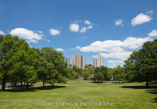 Inner City Park