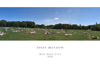 20100530- MG 6616-poster