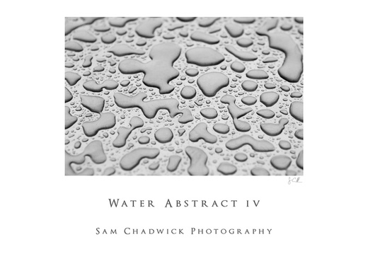 20100613- MG 7304-poster