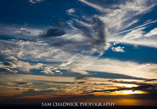 20100817- MG 0395