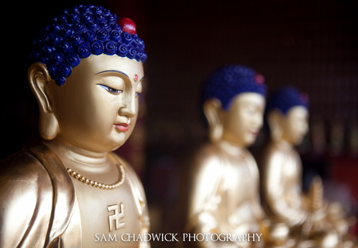 Buddhist statues