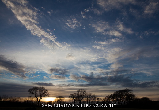 20110111- MG 2654