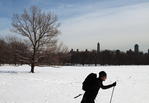 Skier in Central Park New York