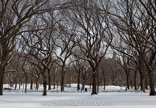 Central Park