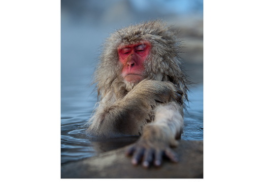 Hot Springs