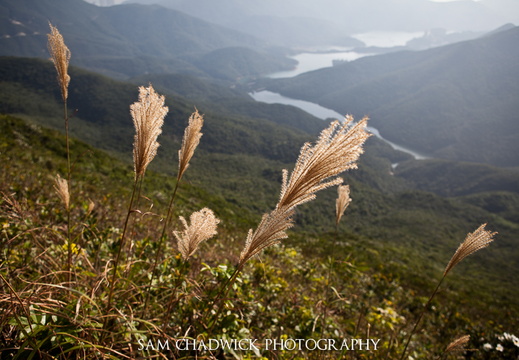 20111113- MG 8499