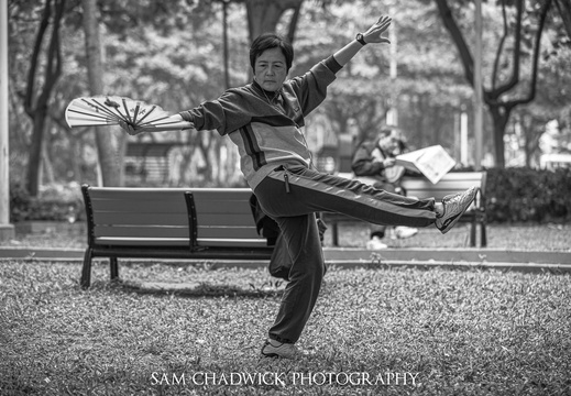 20111217- MG 8989