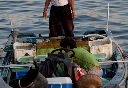20120318- MG 7071