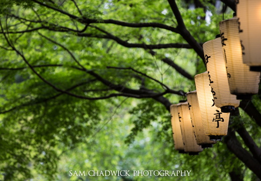 Chinese lanterns