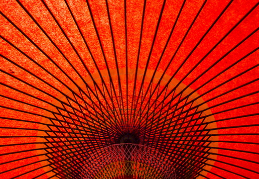 Japanese Parasol