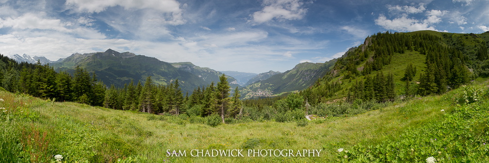 20140719-_MG_9057-Edit.jpg