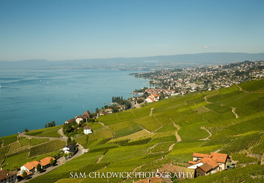 Along Lac Leman