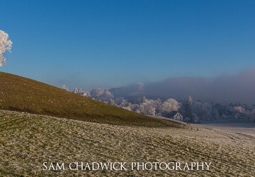 Fog and frost landscape