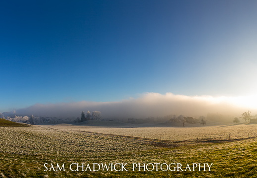Fog and frost landscape