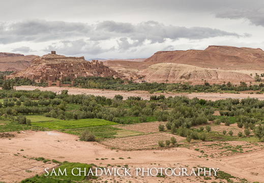 20190423- MG 9524-Edit
