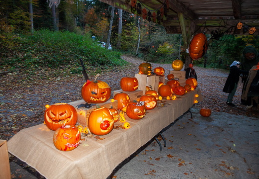 20211030-IMG 9121