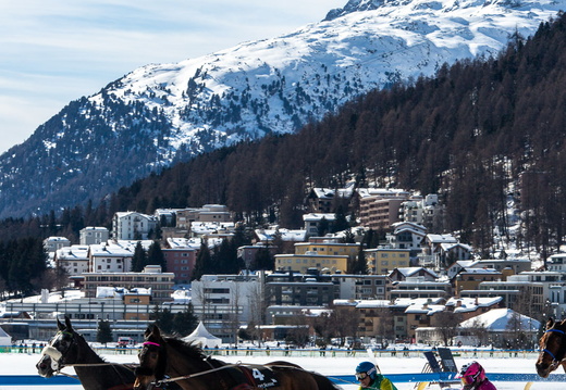 White Turf