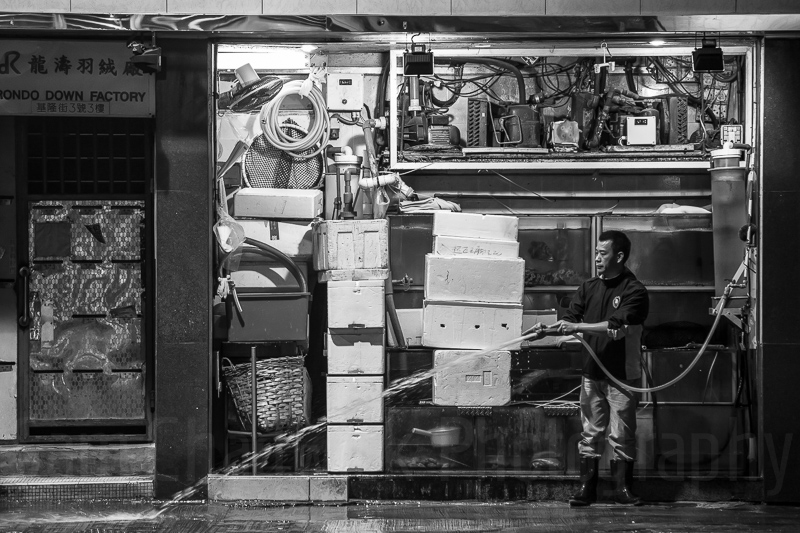 20130112-_MG_4557.jpg