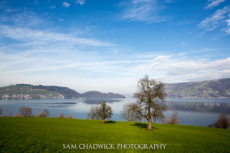 20140201-_MG_6628.jpg